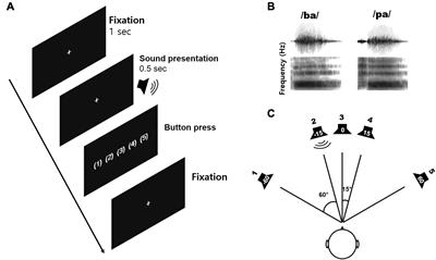 Ear-Specific Hemispheric Asymmetry in Unilateral Deafness Revealed by Auditory Cortical Activity